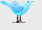 Follow us on Twitter