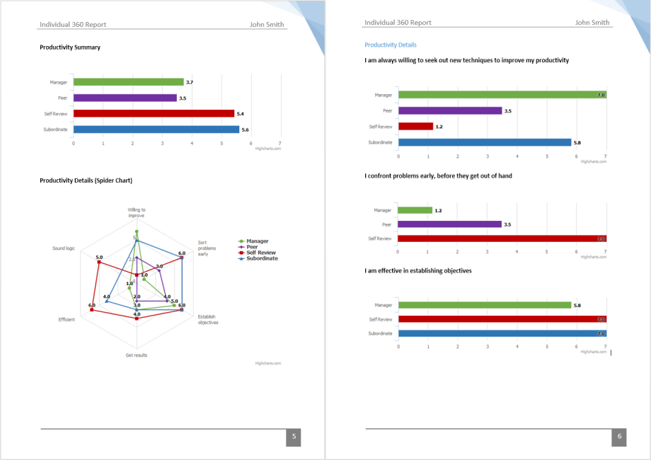 360 Report Sample 2