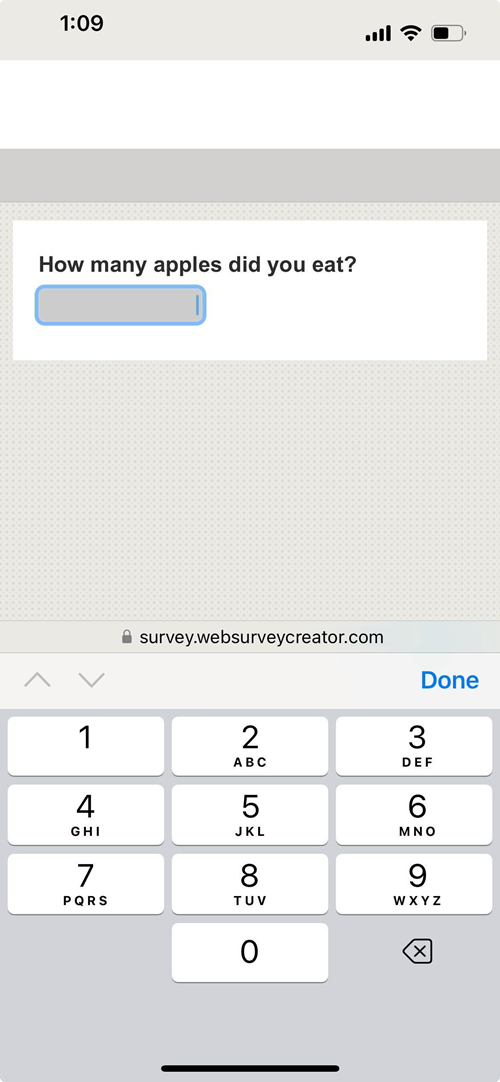 Numeric Keypad