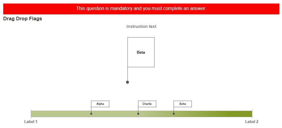 Mandatory Flags Validation 2